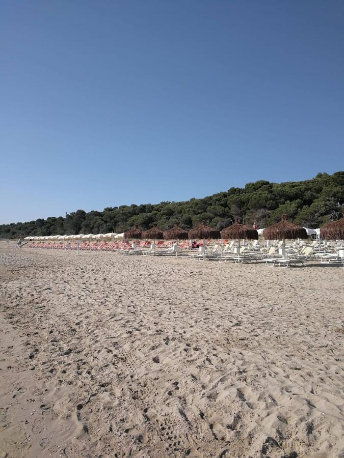 Alloggio Vista Mare - Parcheggio Gratis Pineto Exteriér fotografie