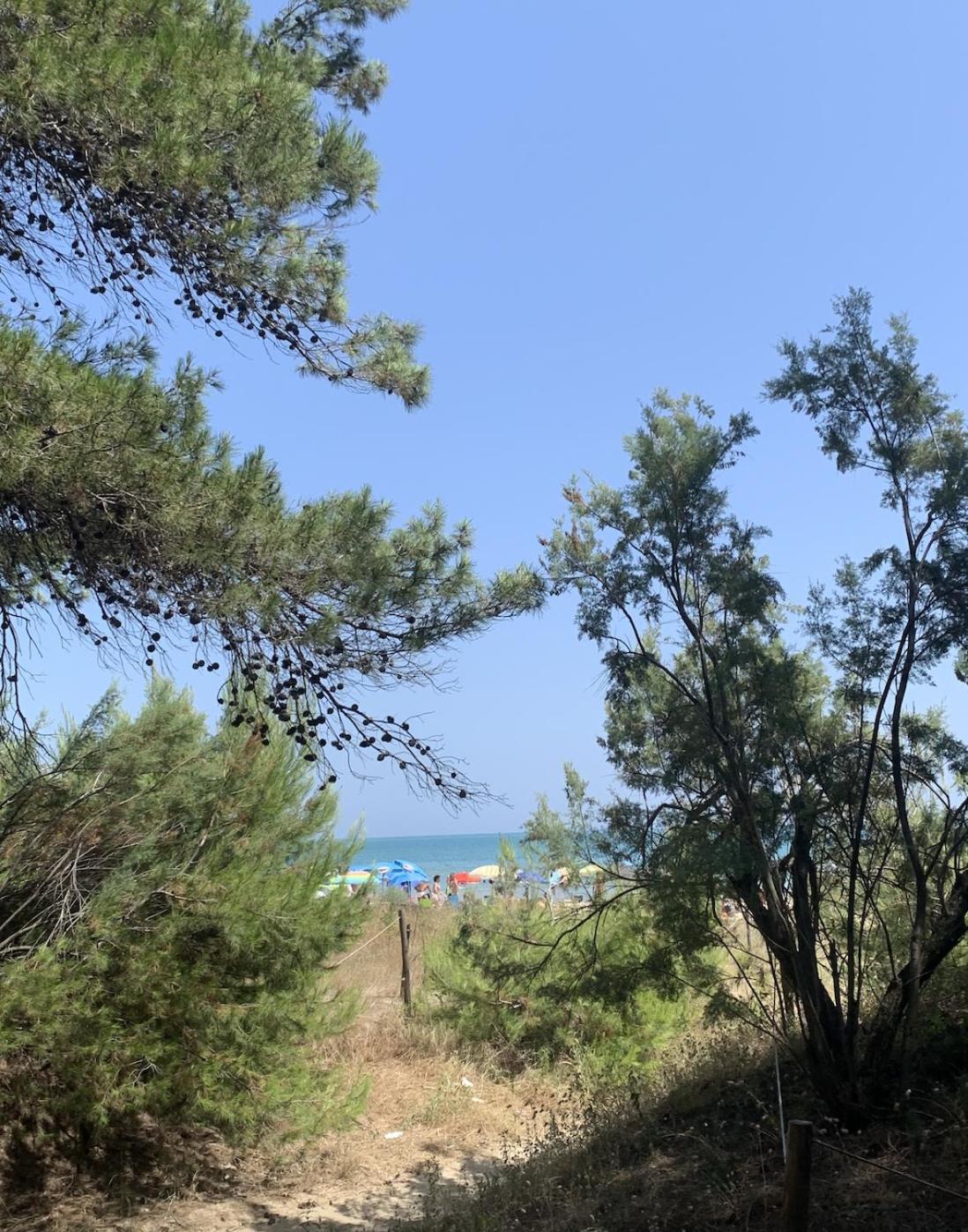Alloggio Vista Mare - Parcheggio Gratis Pineto Exteriér fotografie